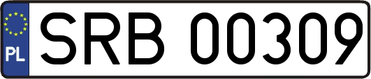 SRB00309