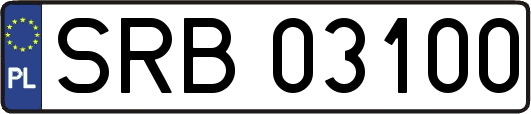 SRB03100