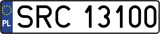 SRC13100