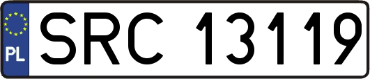 SRC13119