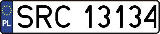 SRC13134
