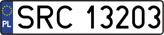 SRC13203