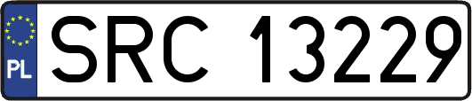 SRC13229