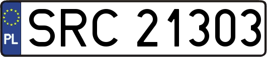 SRC21303