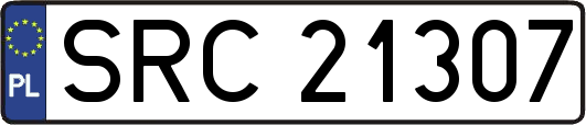 SRC21307