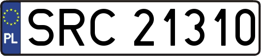 SRC21310