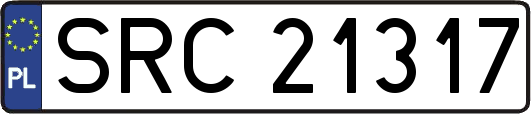 SRC21317