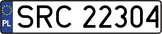 SRC22304