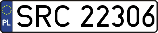 SRC22306