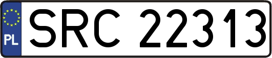 SRC22313