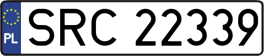 SRC22339