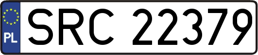 SRC22379