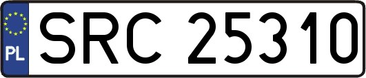 SRC25310