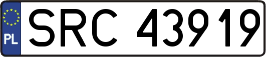 SRC43919