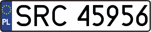 SRC45956