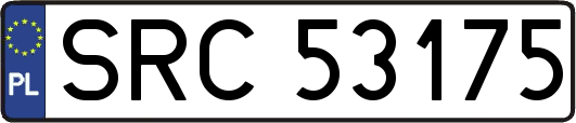 SRC53175
