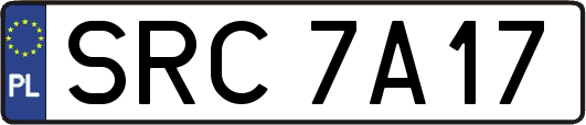 SRC7A17