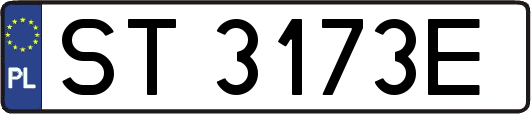 ST3173E