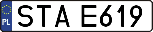 STAE619