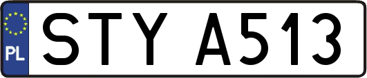 STYA513