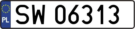 SW06313