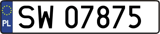 SW07875