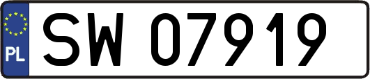 SW07919