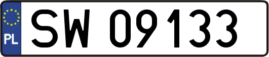SW09133