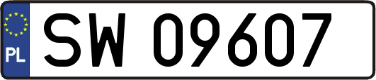 SW09607