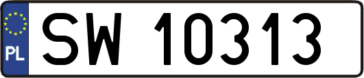 SW10313