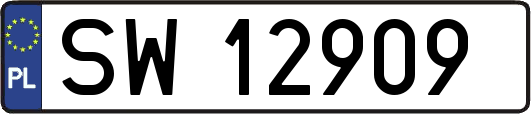 SW12909