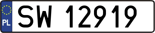 SW12919