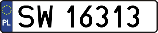 SW16313
