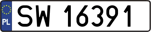 SW16391