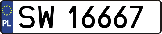 SW16667