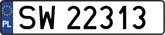 SW22313