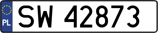 SW42873