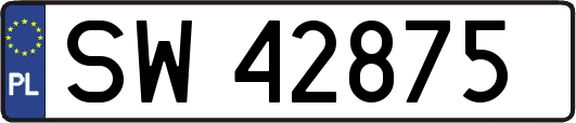 SW42875
