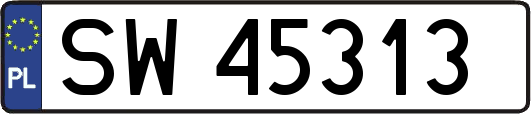 SW45313