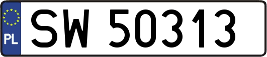 SW50313