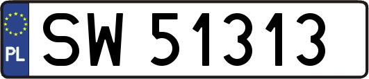 SW51313
