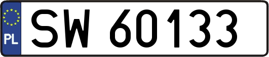 SW60133