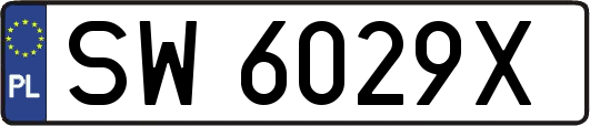 SW6029X