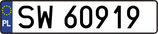 SW60919