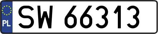 SW66313