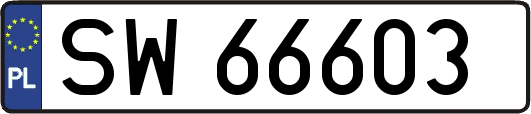 SW66603