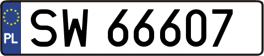 SW66607