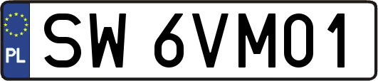 SW6VM01