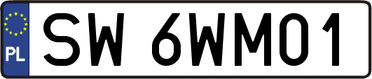SW6WM01