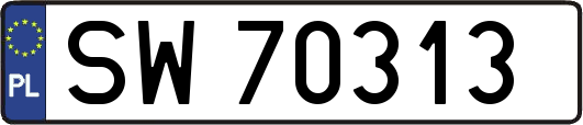 SW70313